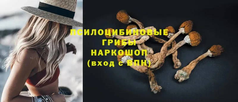 MEGA ссылка  Кодинск  Галлюциногенные грибы MAGIC MUSHROOMS 